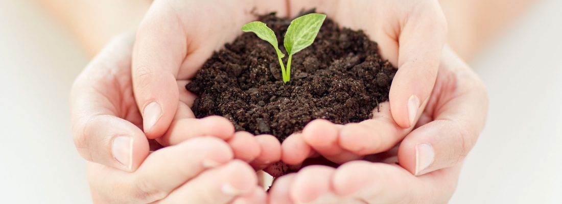 37679978 - people, charity, family and ecology concept - close up of child and parent cupped hands holding soil with green sprout at home
